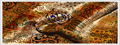 Handmade Carpet Exhibition 2023 Iran